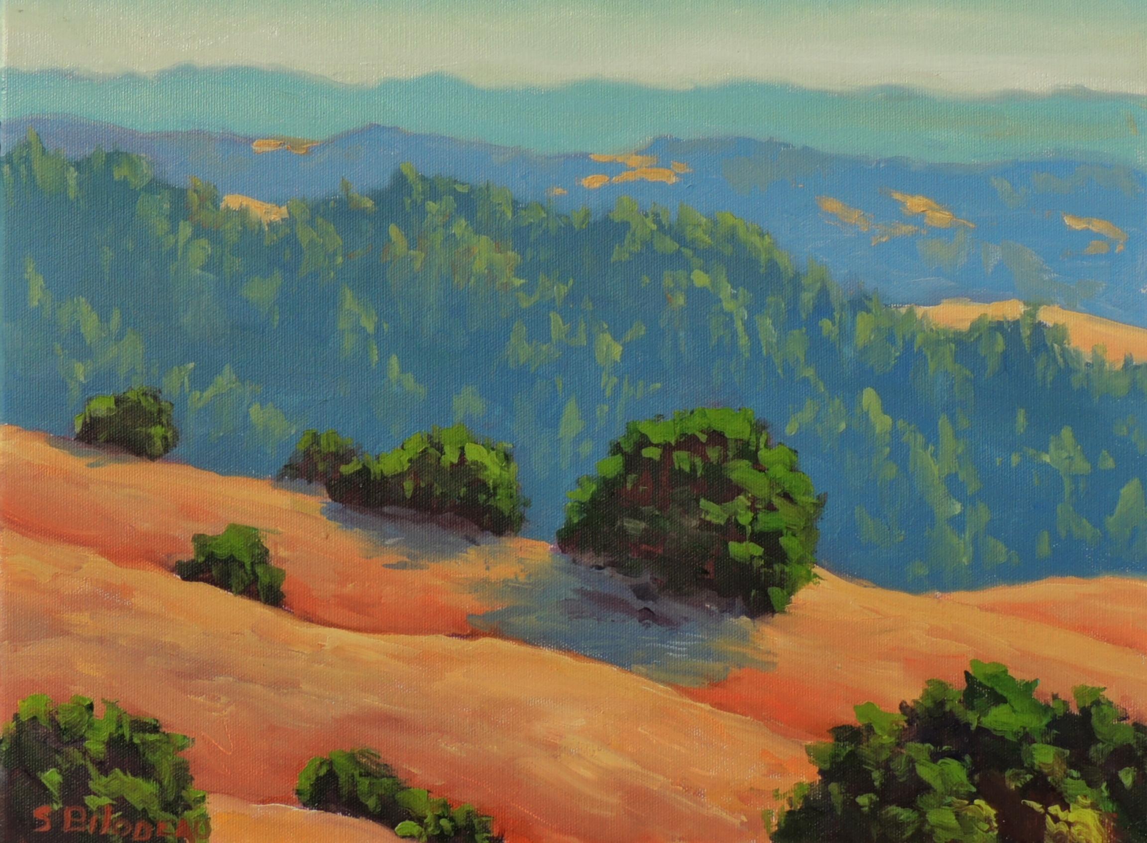Steven Guy Bilodeau Landscape Painting - Distant Hills