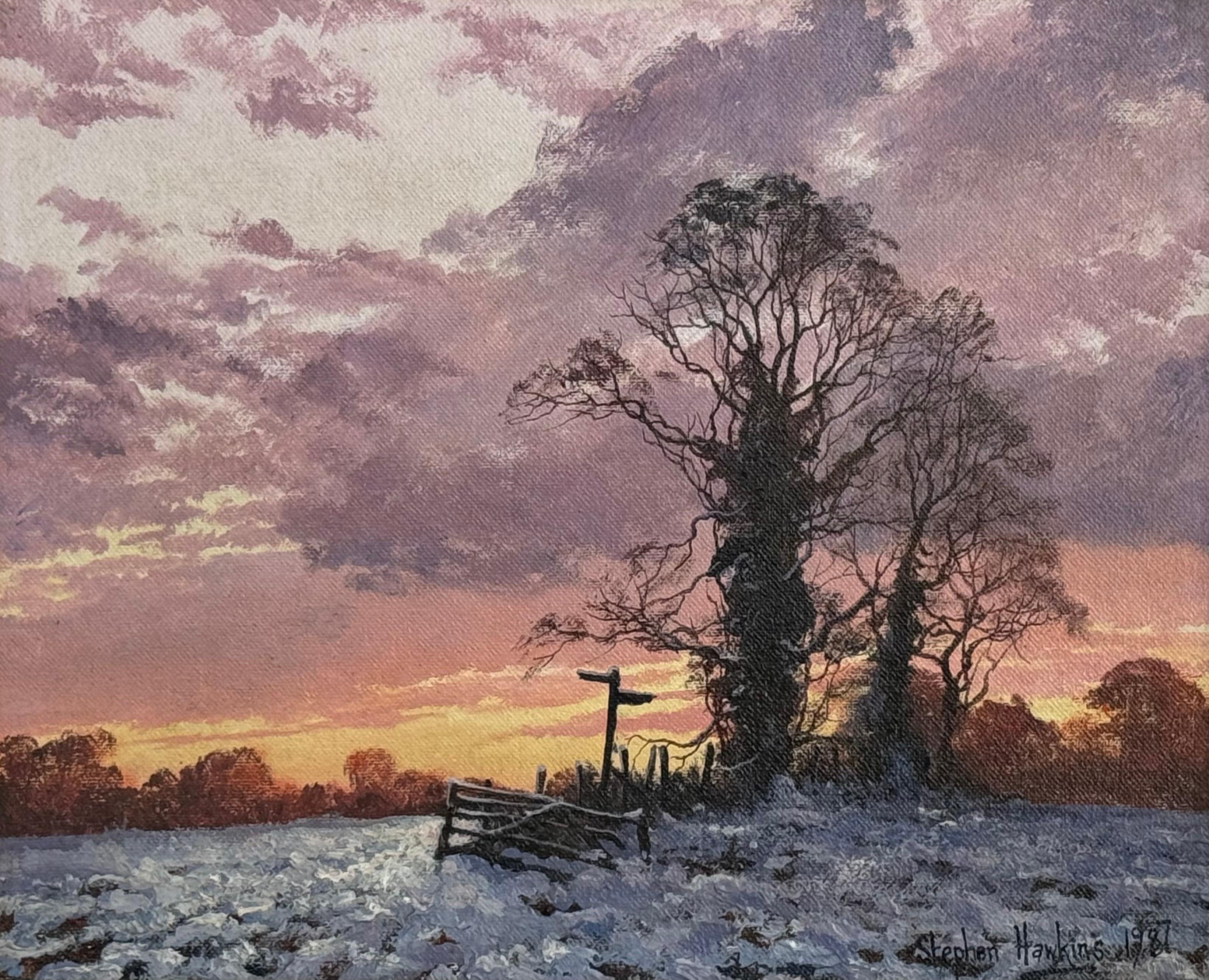 Coucher de soleil hivernal avec neige - Ciel rose, orange et violet dans la campagne anglaise - Painting de Steven Hawkins