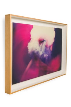 Steven Sebring Contemporáneo Americano " Metamorfosis" (2012)