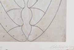 Shell, Modern Etching by Steven Sorman