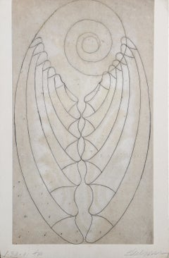 Shell, Modern Etching by Steven Sorman
