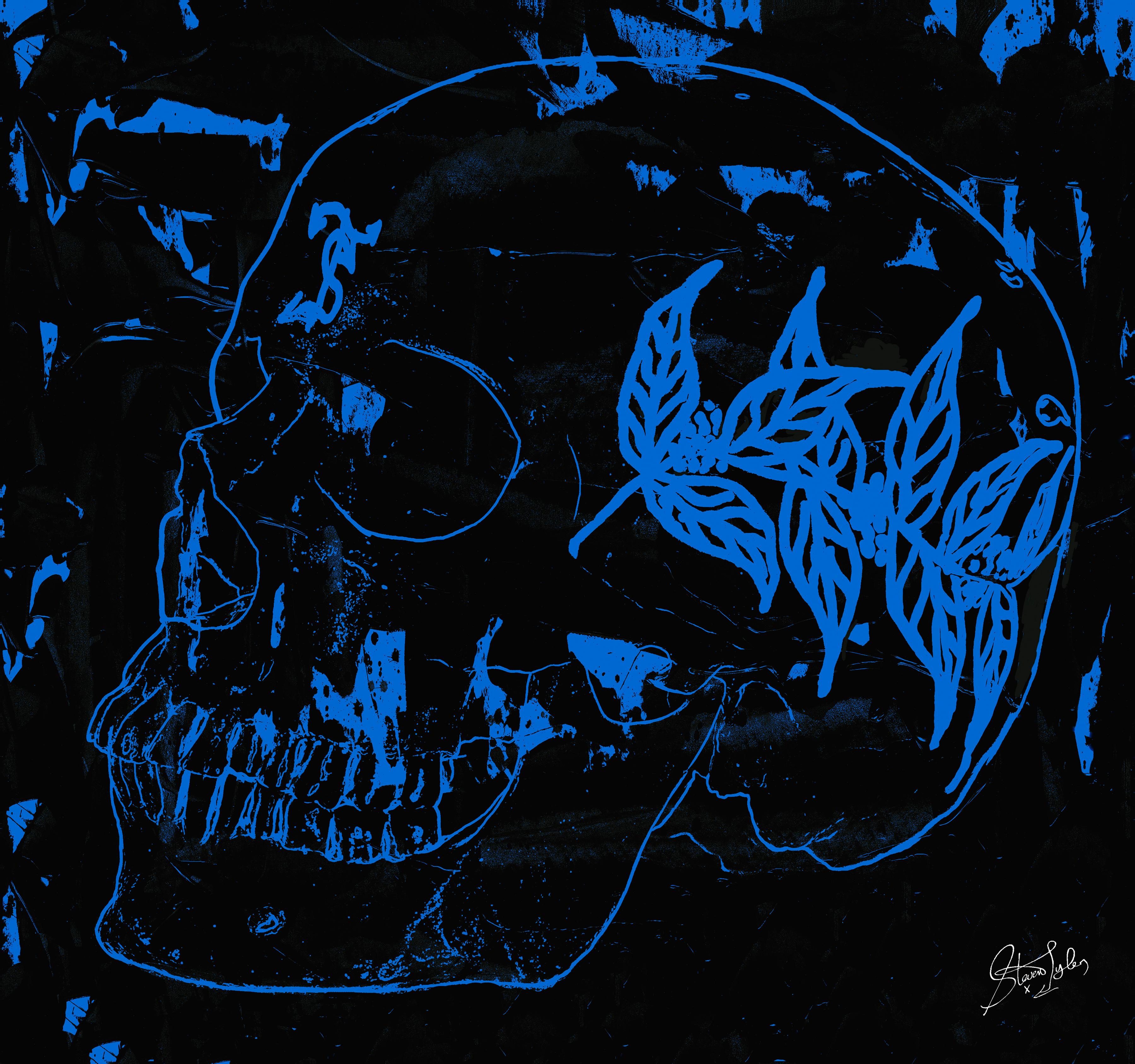 "Blue Skull Large" Stampa 38 x 40 pollici Edizione di 300 di Steven Tyler