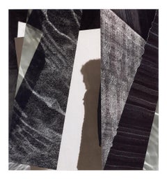 Shadow of Myself : collage technique mixte sur carton