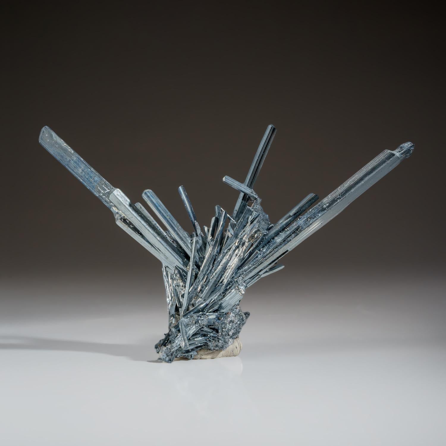 Stibnite from Wuling antimony mine, Qingjiang, Jiangxi, China Superb museum quality specimen of brilliant metallic luster stibnite crystals in a radial formation with striated crystal surfaces. All crystals are fully terminated and damage free.