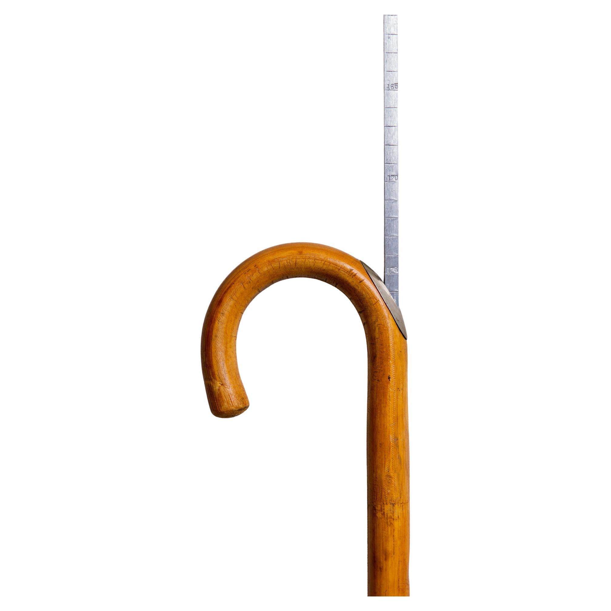 Fruitwood Stick for Horses Withers Measure For Sale