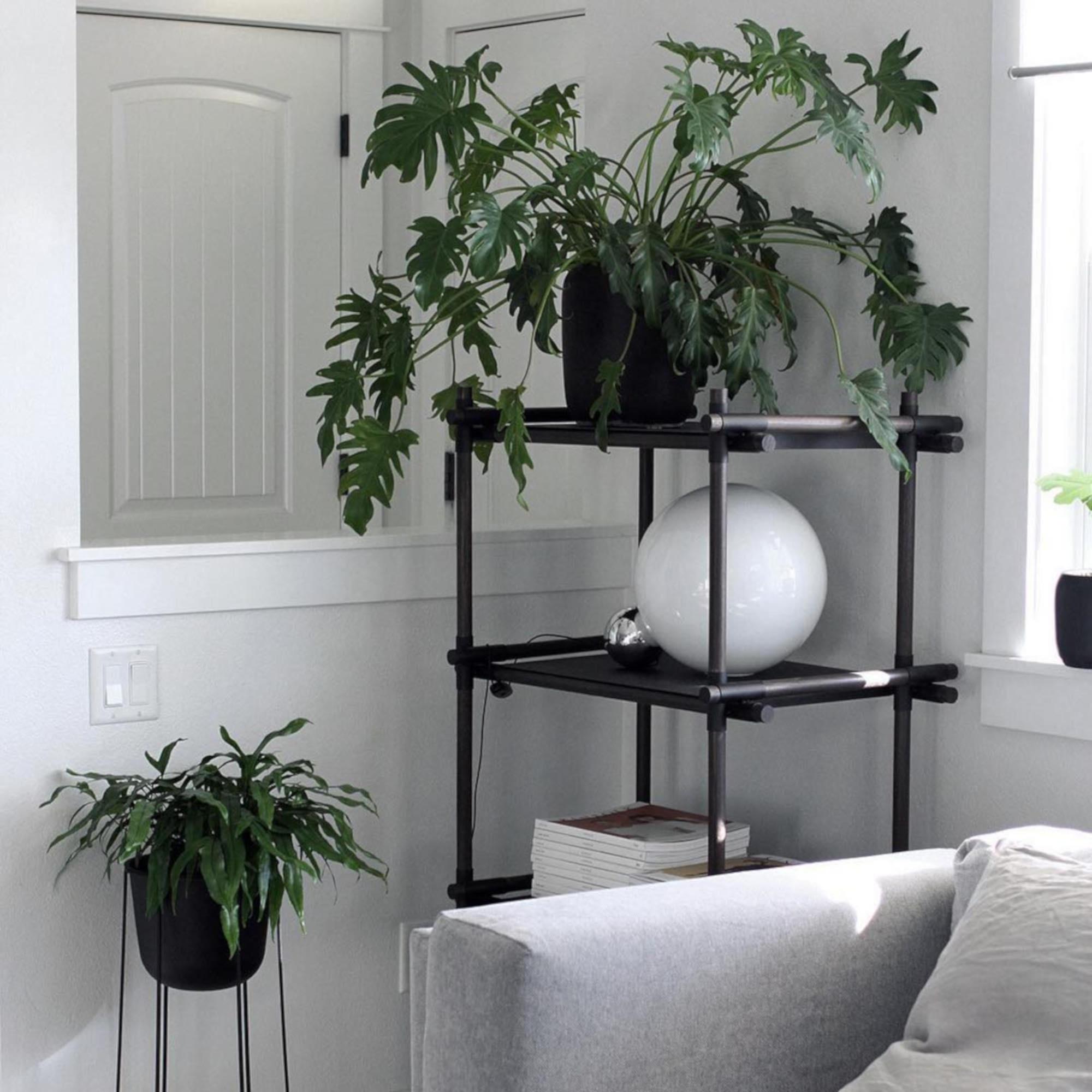 Scandinavian Modern Stick System, Dark Ash Shelves with Black Poles, 1x3 For Sale