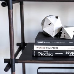 Stick System, Dark Ash Shelves with Black Poles, 1x5