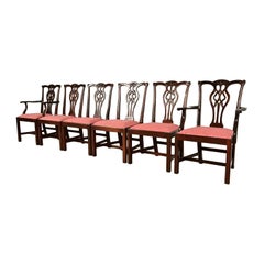 Stickley Georgian Carved Mahogany Dining Chairs, Set of Six