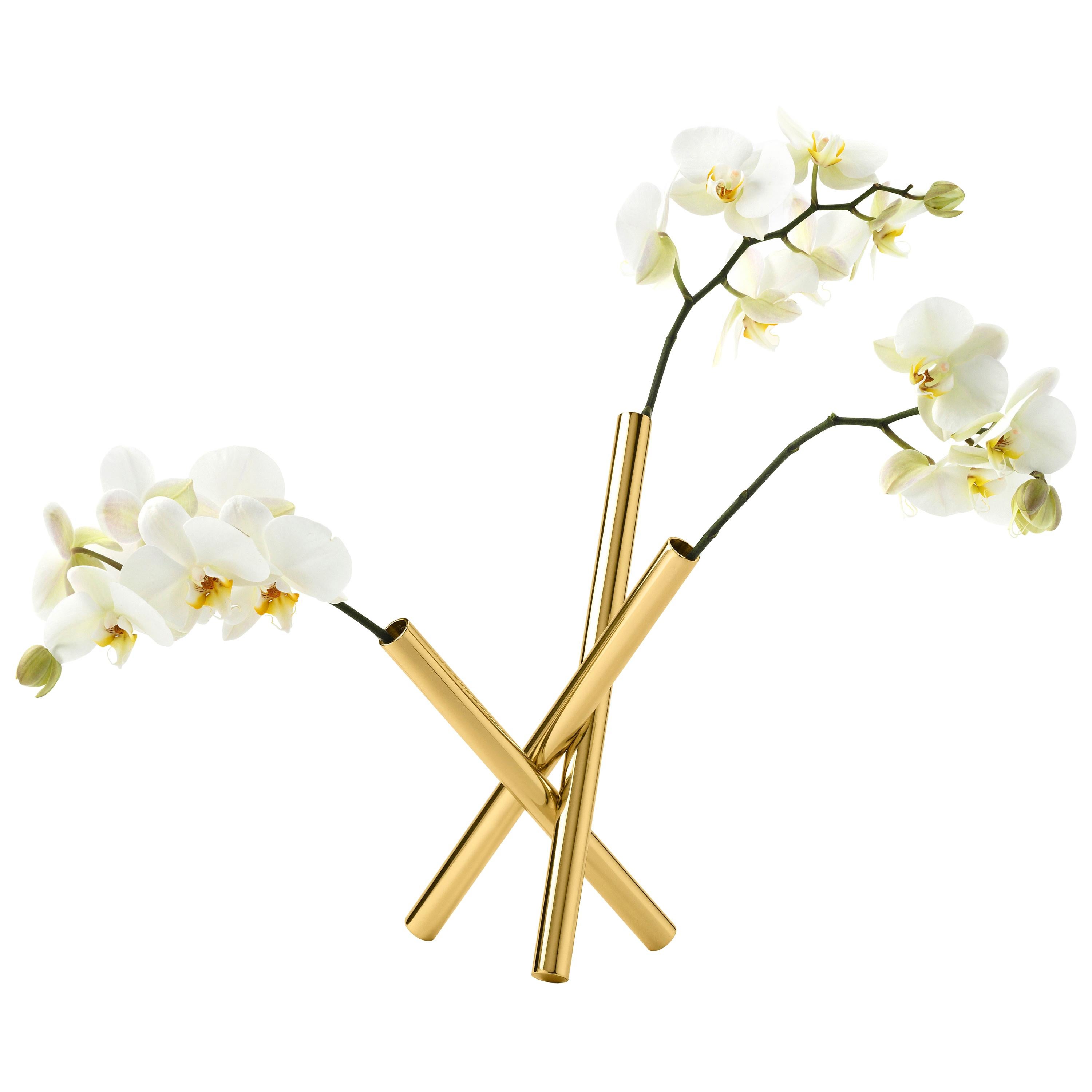 Sticks Flower Pot in Polished Brass by Campana Brothers