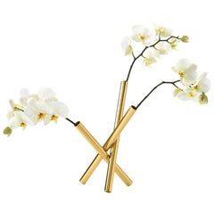 Sticks Flower Pot in Polished Brass by Campana Brothers