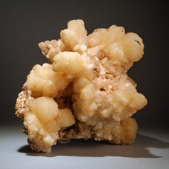 Fleur de stilbite du district de Jalgaon, Maharashtra, Inde