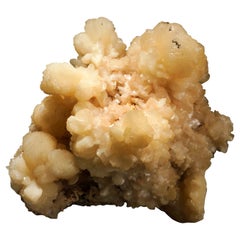 Fiore di stilbite dal distretto di Jalgaon, Maharashtra, India
