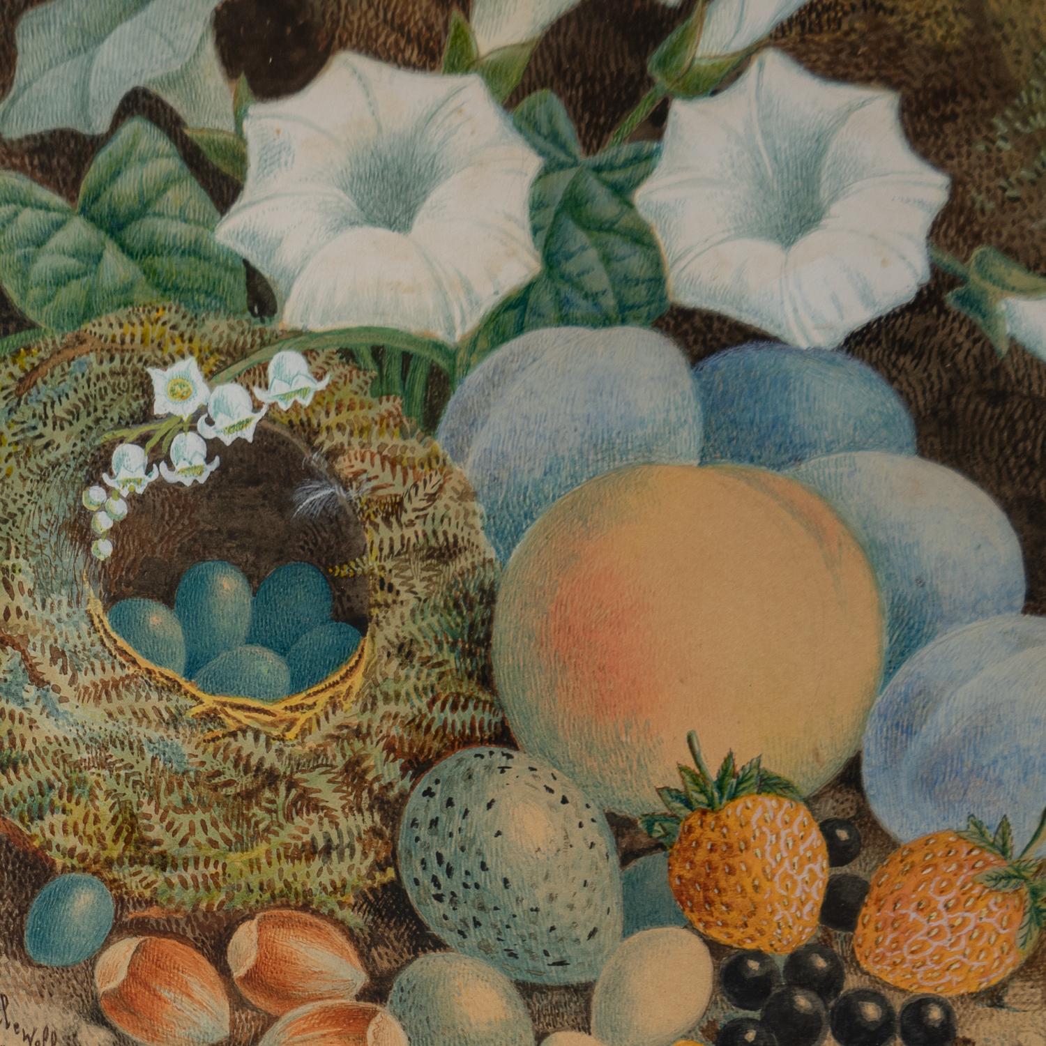 British Still Life Depicting a Birds Nest With Eggs, Fruit and Flowers by J.W.Kettlewell For Sale