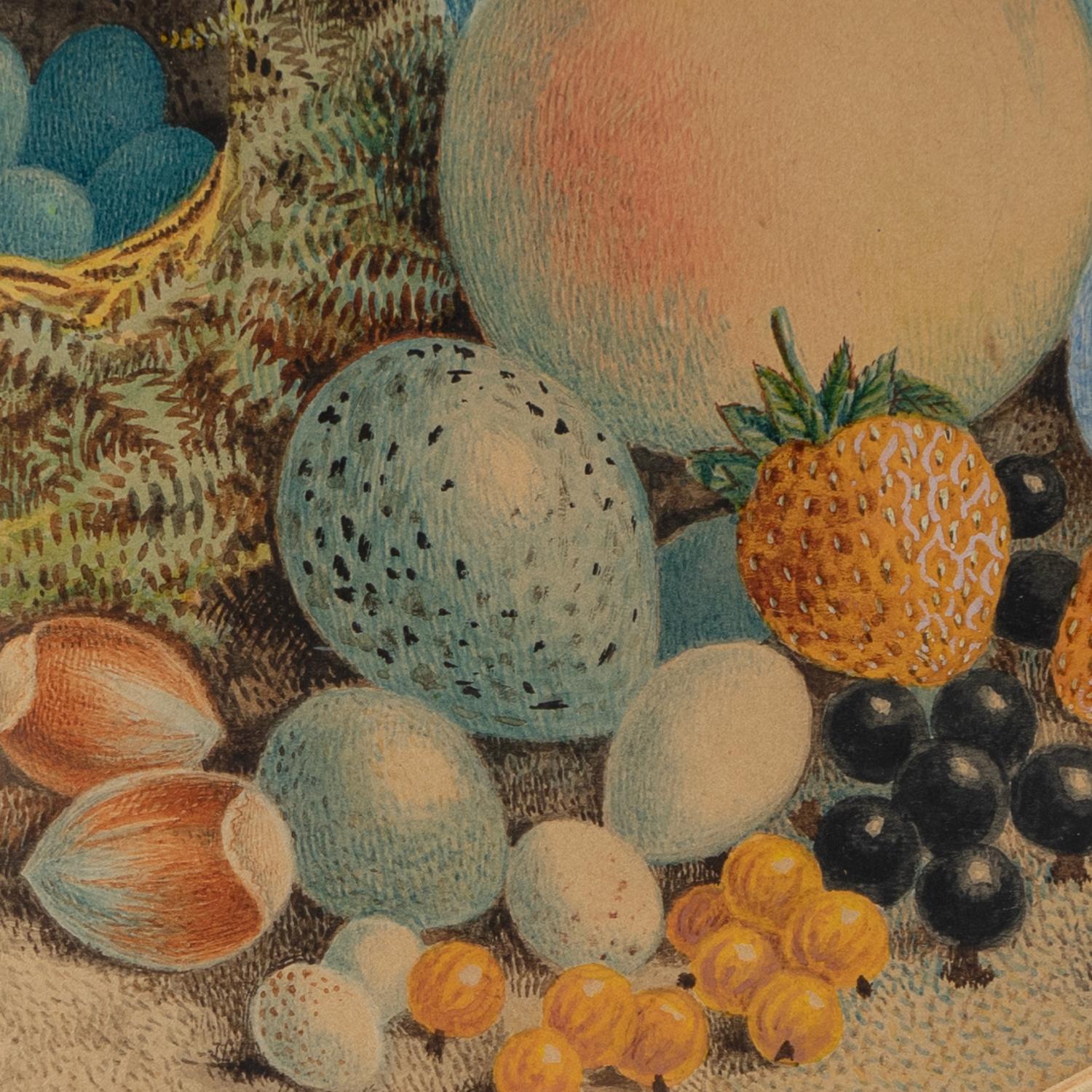 Painted Still Life Depicting a Birds Nest With Eggs, Fruit and Flowers by J.W.Kettlewell For Sale