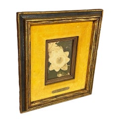 Still Life Floral "Water Lily" Oil on Board by James Pasqual Bettio