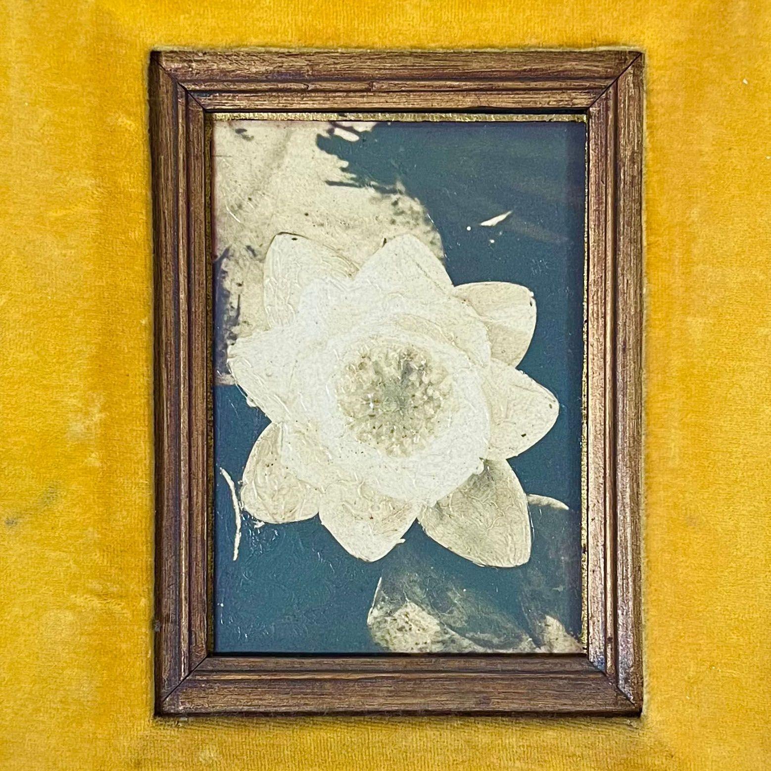 Fine XX secolo Natura morta floreale 