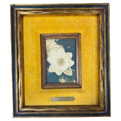 Nature morte florale "Nénuphar" Huile sur carton par A James Pasqual Bettio