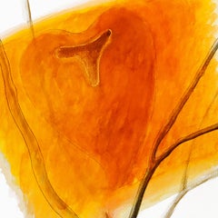 Still Life n° 5 di Gianni Veneziano