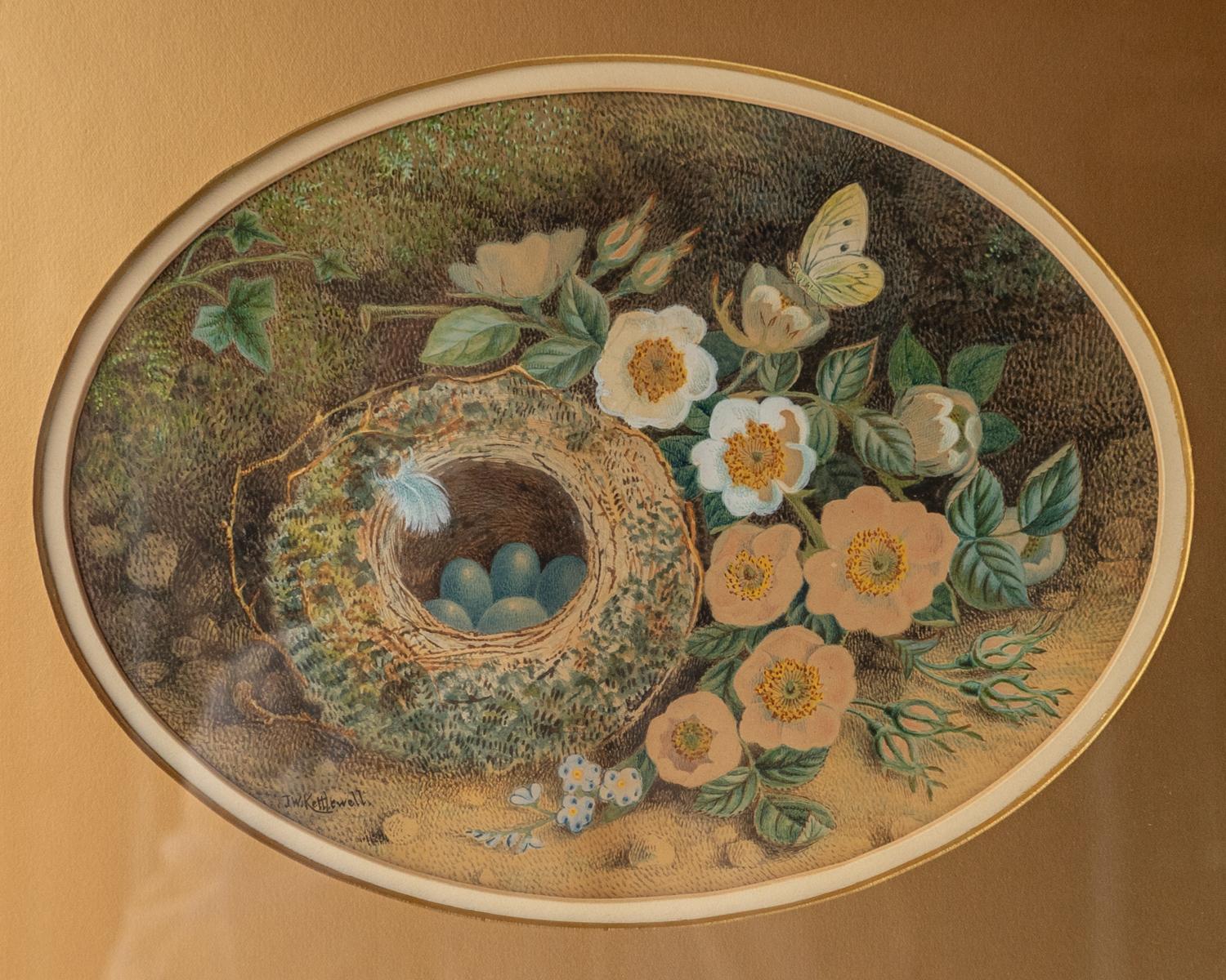 British Still Life of Birds Nest With Eggs, Butterflies and Roses by J. W. Kettlewell For Sale