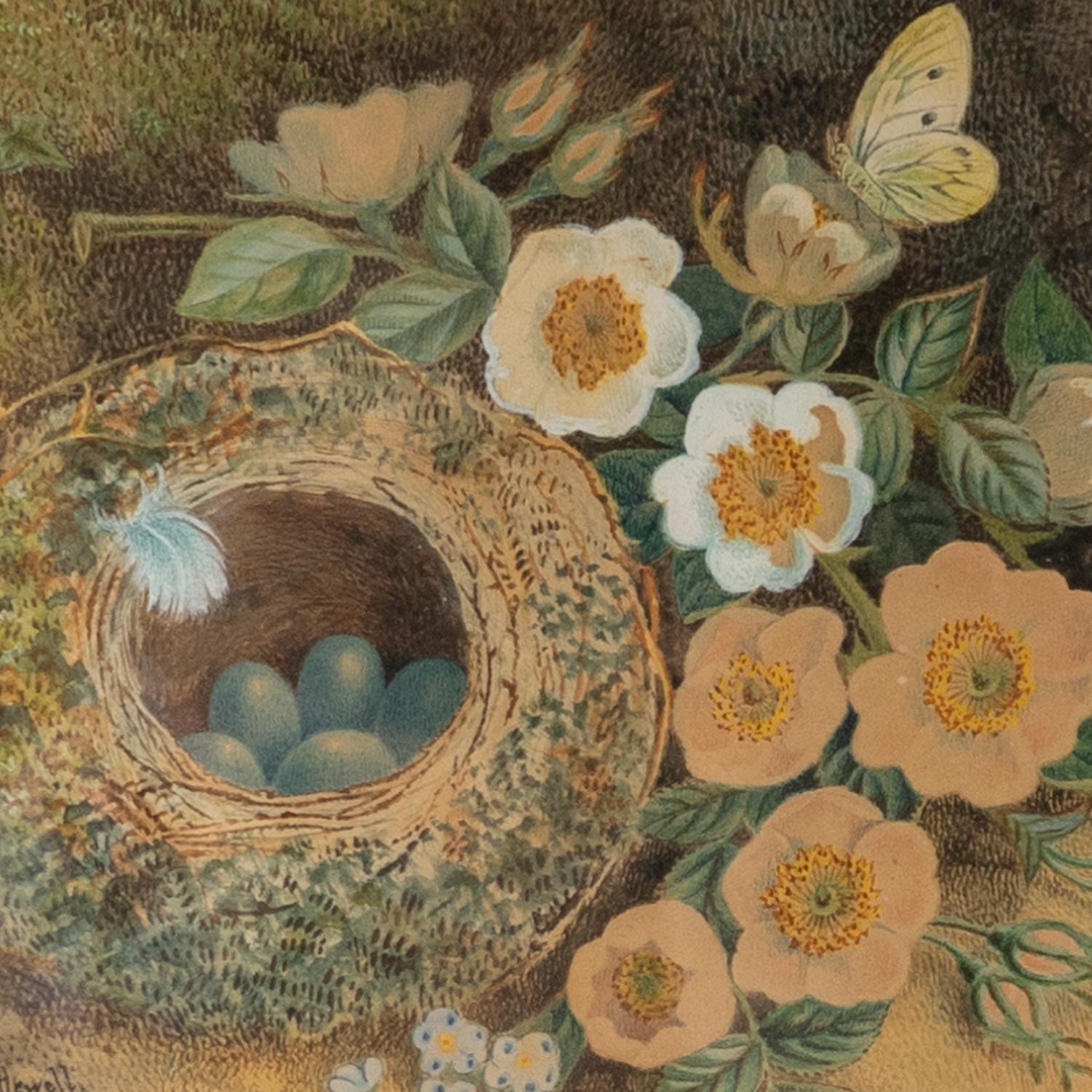 Painted Still Life of Birds Nest With Eggs, Butterflies and Roses by J. W. Kettlewell For Sale