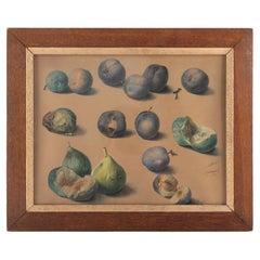 Still Life of Figs and Plums by Adèle Hippolyte Lallemand
