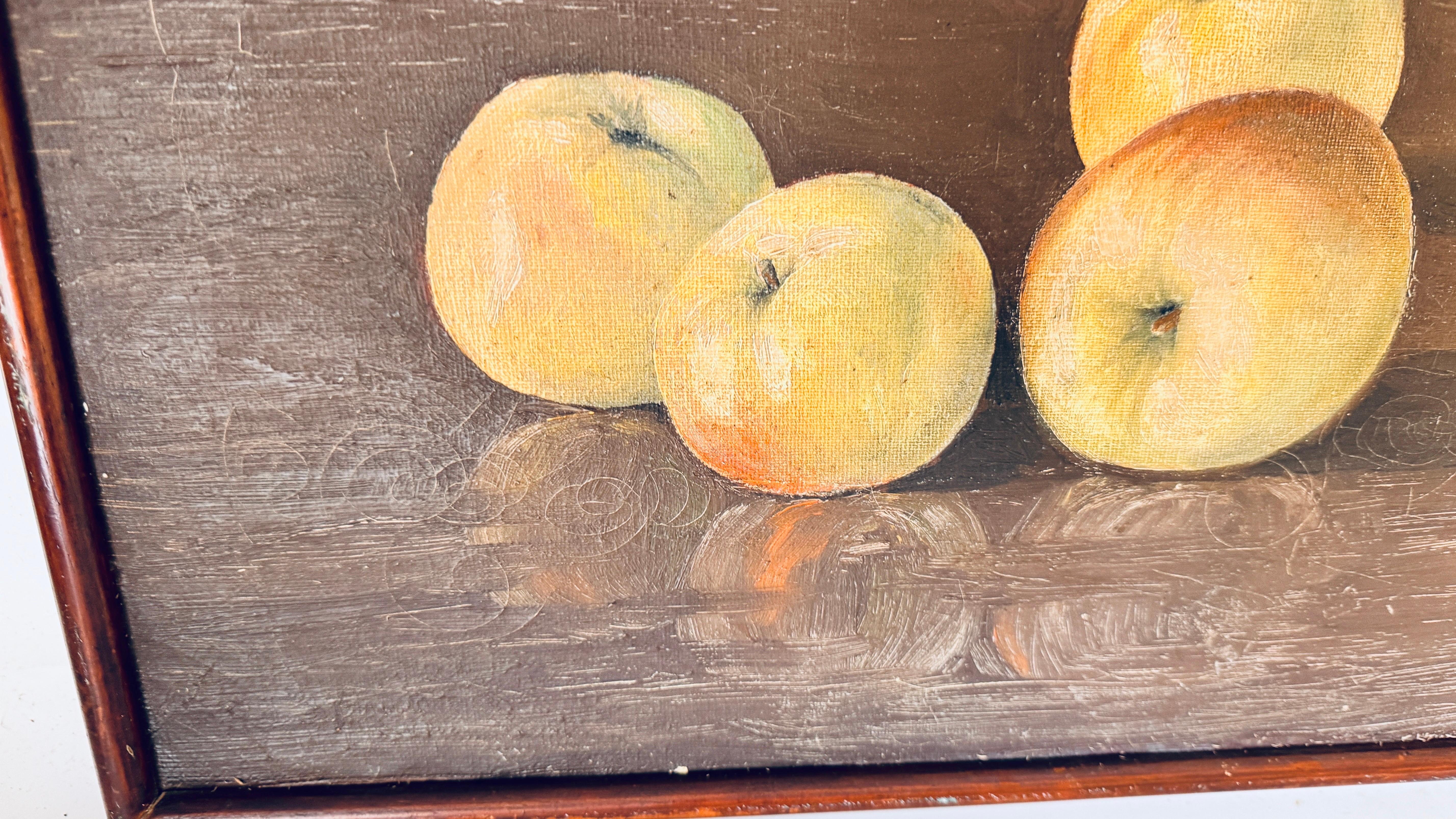 A olio Natura morta olio su tela: Mele con luce e ombra, cornice in legno scuro in vendita