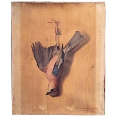 Nature morte - Peinture en trompe-l'œil du XIXe siècle
