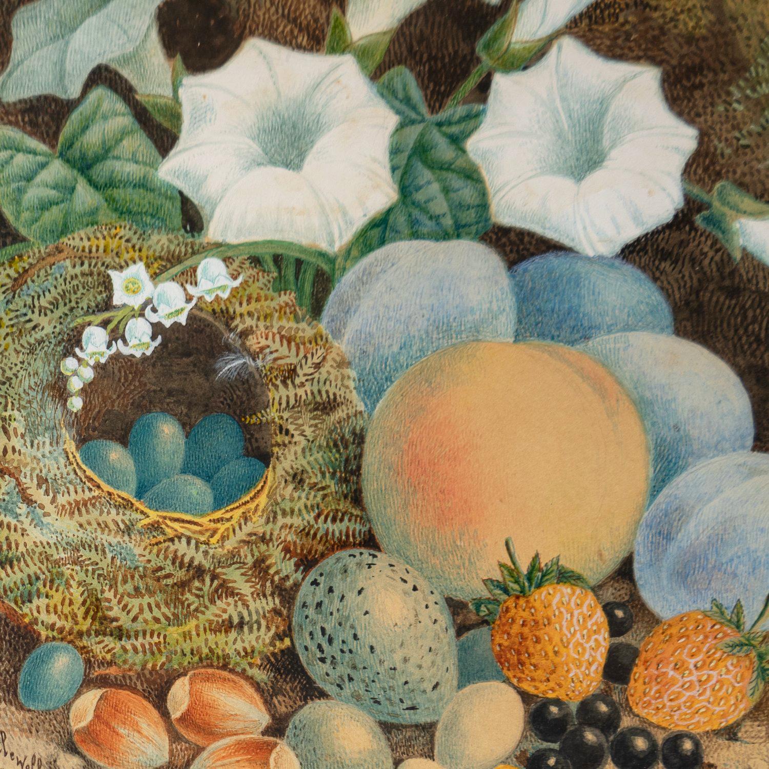 Paper Still Life Painting Of Birds Nest With Eggs, Fruit & Flowers By J. W. Kettlewell For Sale