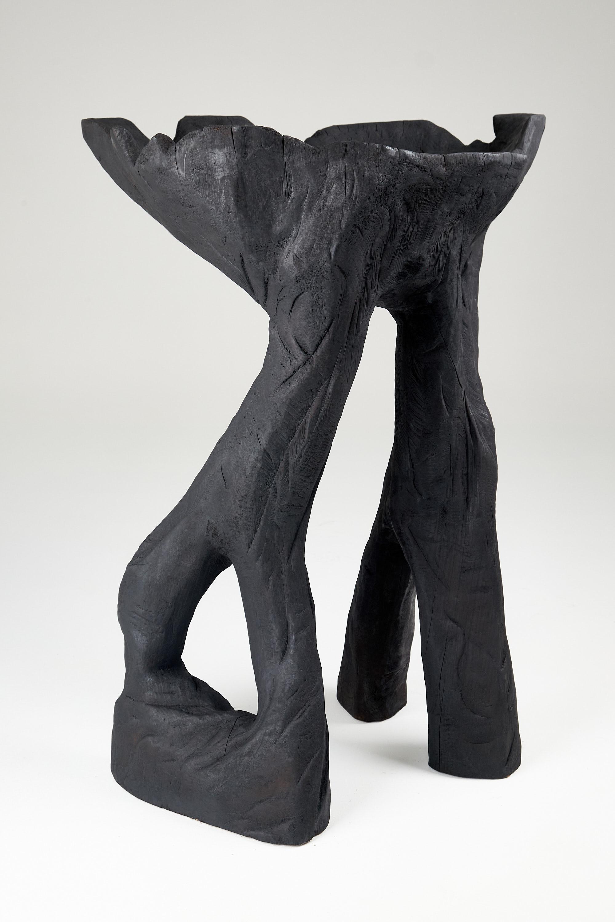 Still Stand Abstrakte Biomorphe Holzschale, Kettensäge geschnitzt, Funktionelle Skulptur im Angebot 4