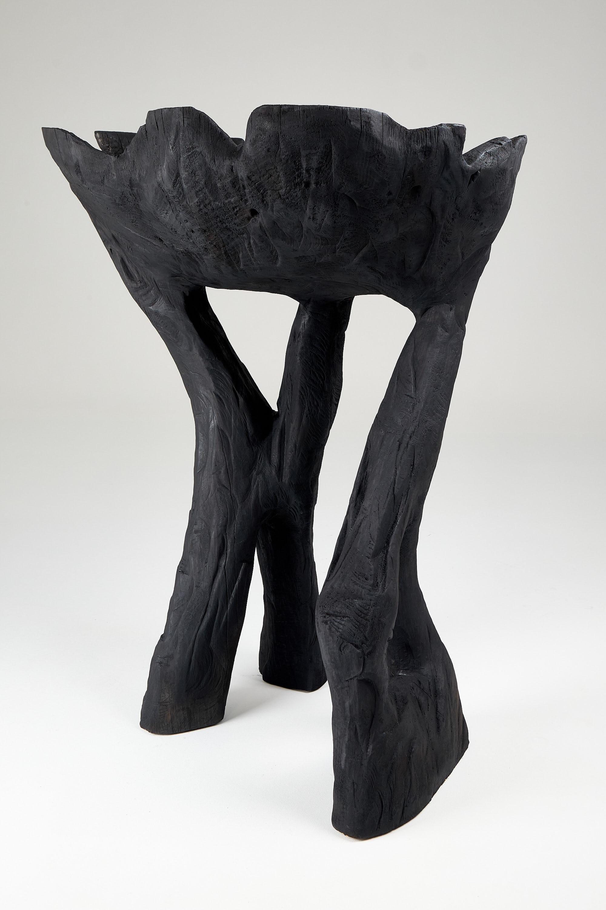Still Stand Abstrakte Biomorphe Holzschale, Kettensäge geschnitzt, Funktionelle Skulptur (21. Jahrhundert und zeitgenössisch) im Angebot
