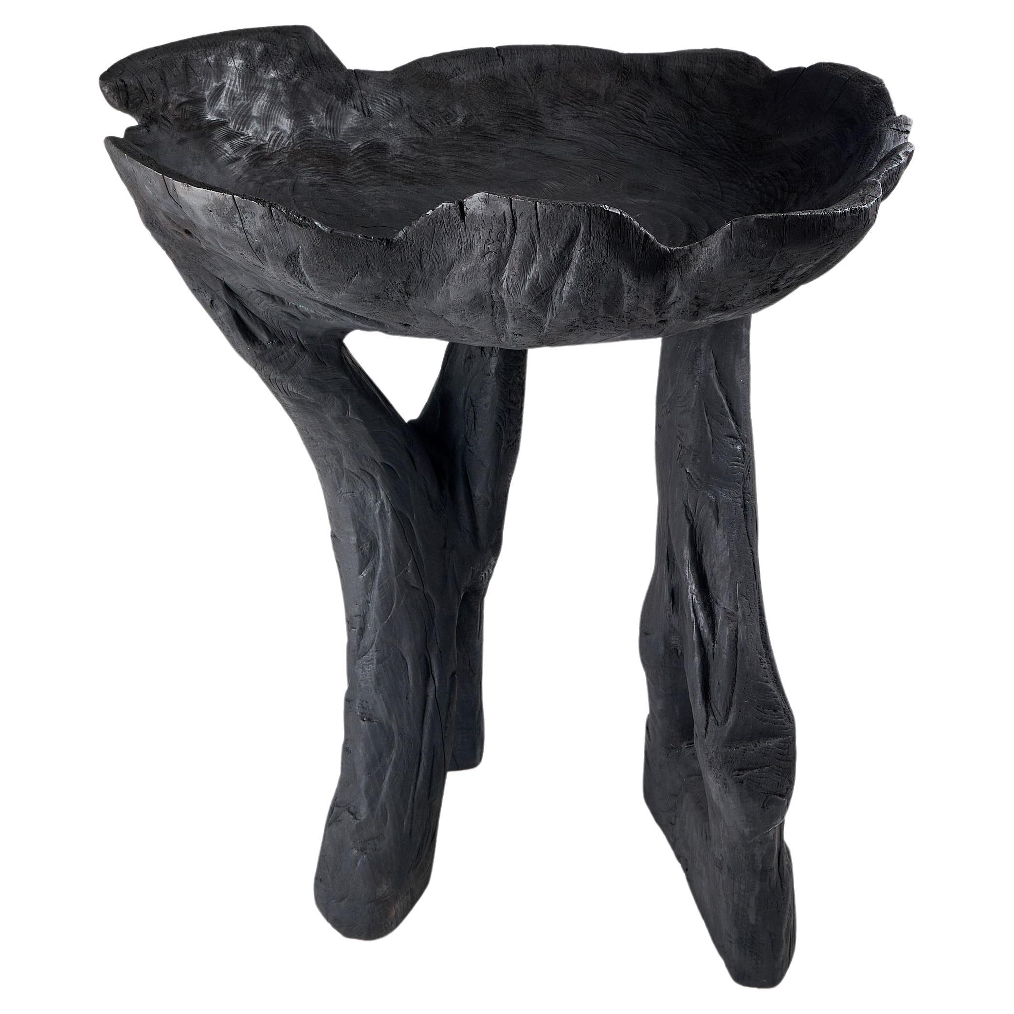 Still Stand Abstract Biomorphic Wood Bowl, Chainsaw Carved, Functional Sculpture (Sculpture fonctionnelle sculptée à la tronçonneuse)