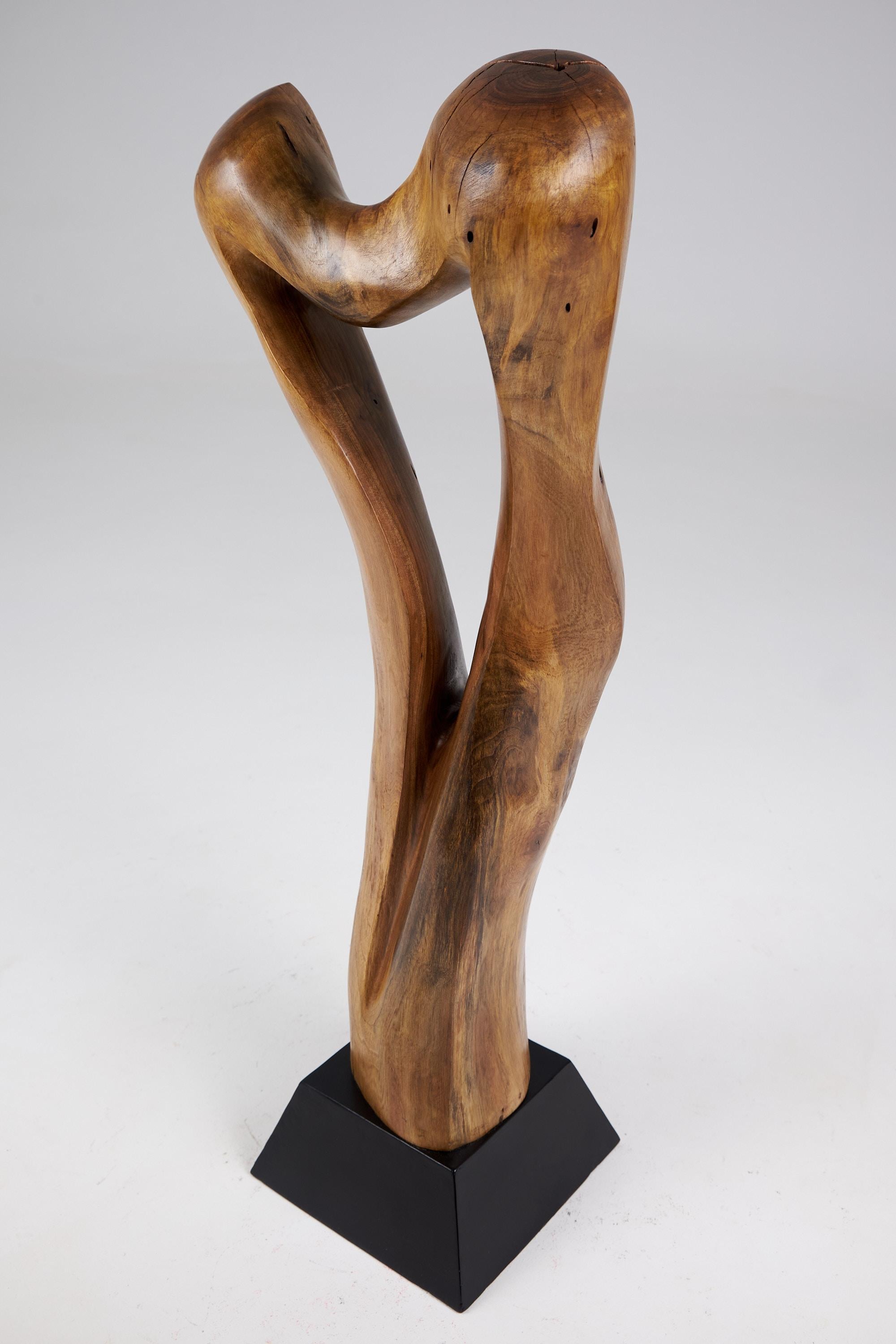 Intagliato Scultura astratta in legno Still Stand, intagliata con la motosega, noce in vendita