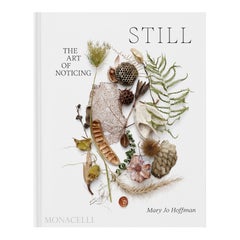STILL: The Art of Noticing