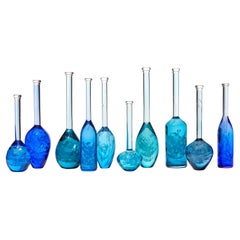 Stills of Life : Blue Series, une installation de Louis Thompson & Pratibha Mistry