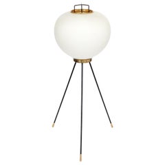 Stilnovo Brass and Opaline Glass Tripod Floor Lamp