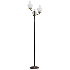 Floor Lamps