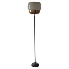 Stilnovo, Floor Lamp, Brass, Metal, Glass, Italy, 1960s