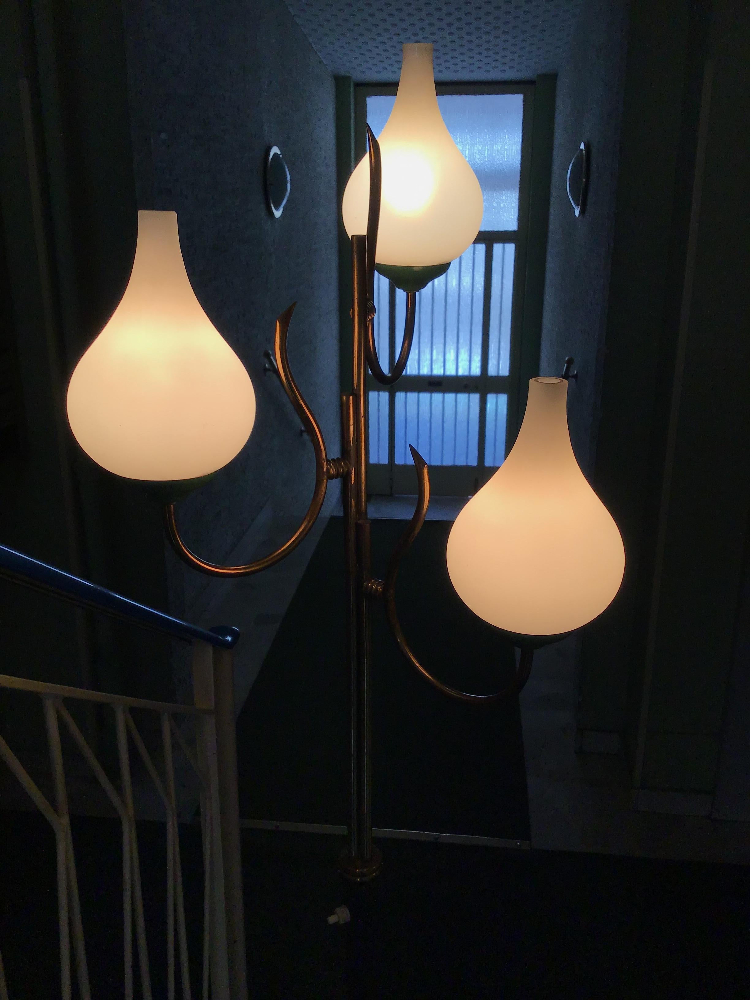 Other Stilnovo Floor Lamp Tree Light  Brass Metal Opaline Glass 1950 Italy  For Sale