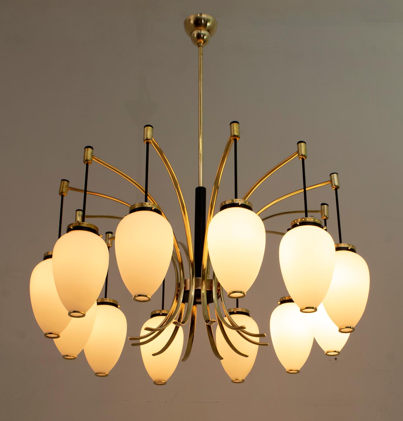 Large 12-light chandelier in polished brass, black lacquered metal and opal glass. Produced by Stilnovo in Italy in the 1950s.
The chandelier has been completely restored and polished.

Also available the pair of sconces