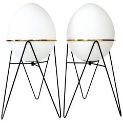 Stilnovo Pair of Egg or Novo Opaque Glass and Iron Frame Floor Lamps