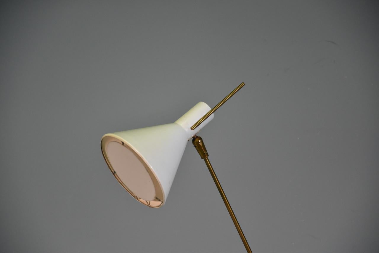 Stilnovo Rare Floor Lamp in Brass  Italy, 1950s Publisched In Excellent Condition For Sale In Rovereta, SM