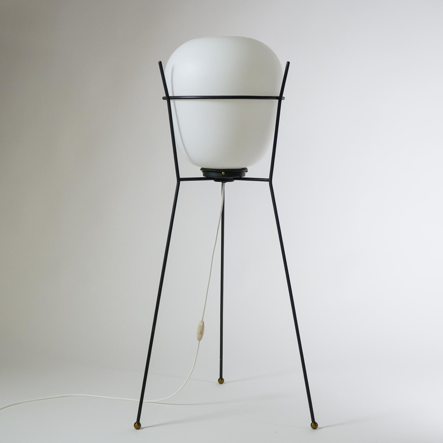 Metal Stilnovo Satin Glass Floor Lamp, 1950s