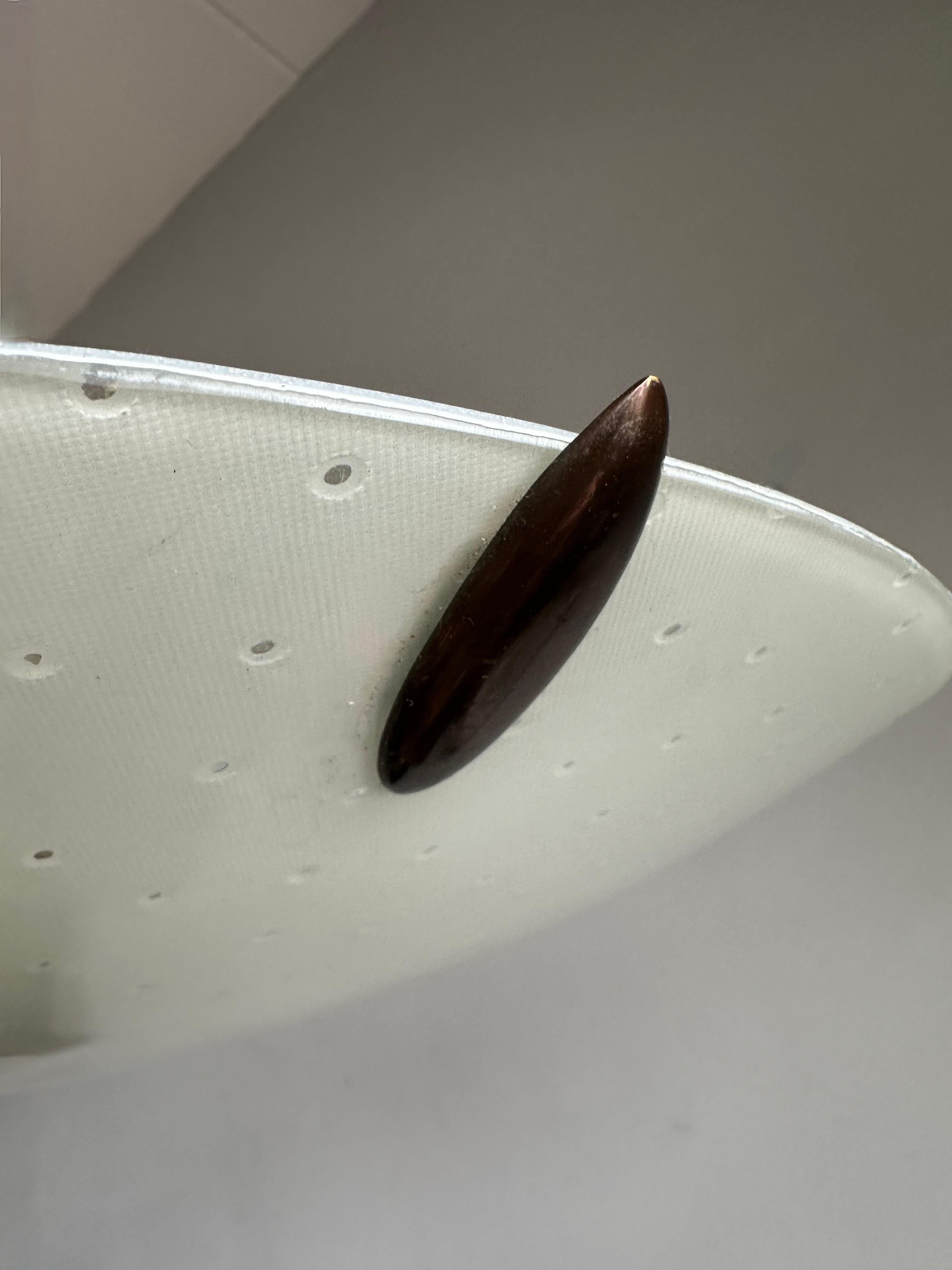 Metallo Lampada da incasso italiana senza tempo in vetro con motivo a fori, 1950 in vendita
