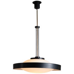 Mid-Century Modern Chandeliers and Pendants