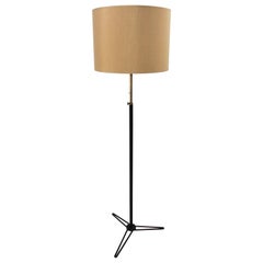 Stilnovo Tripod Floor Lamp in Black Lacquered Metal and Brass
