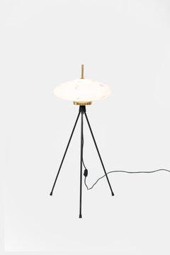 Stilnovo Tripod Oriental Lanterna Floor Lamp hand Painted Opal Glass Brass