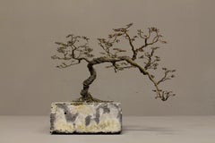 Stone and Iron 'Bonsai' Tree Sculpture by Bastiaan Beun, 2020