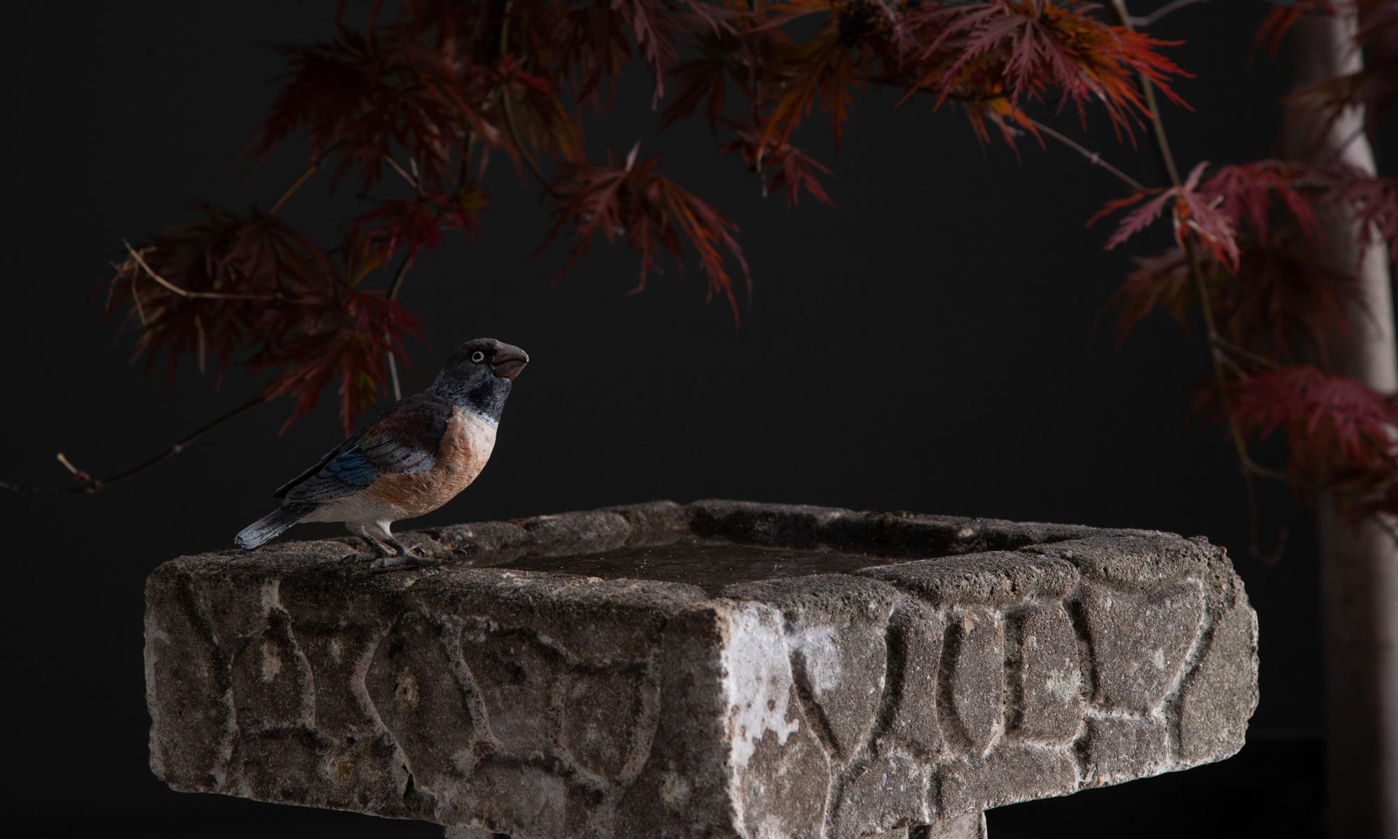 English Stone Bird Bath, England, circa 1950