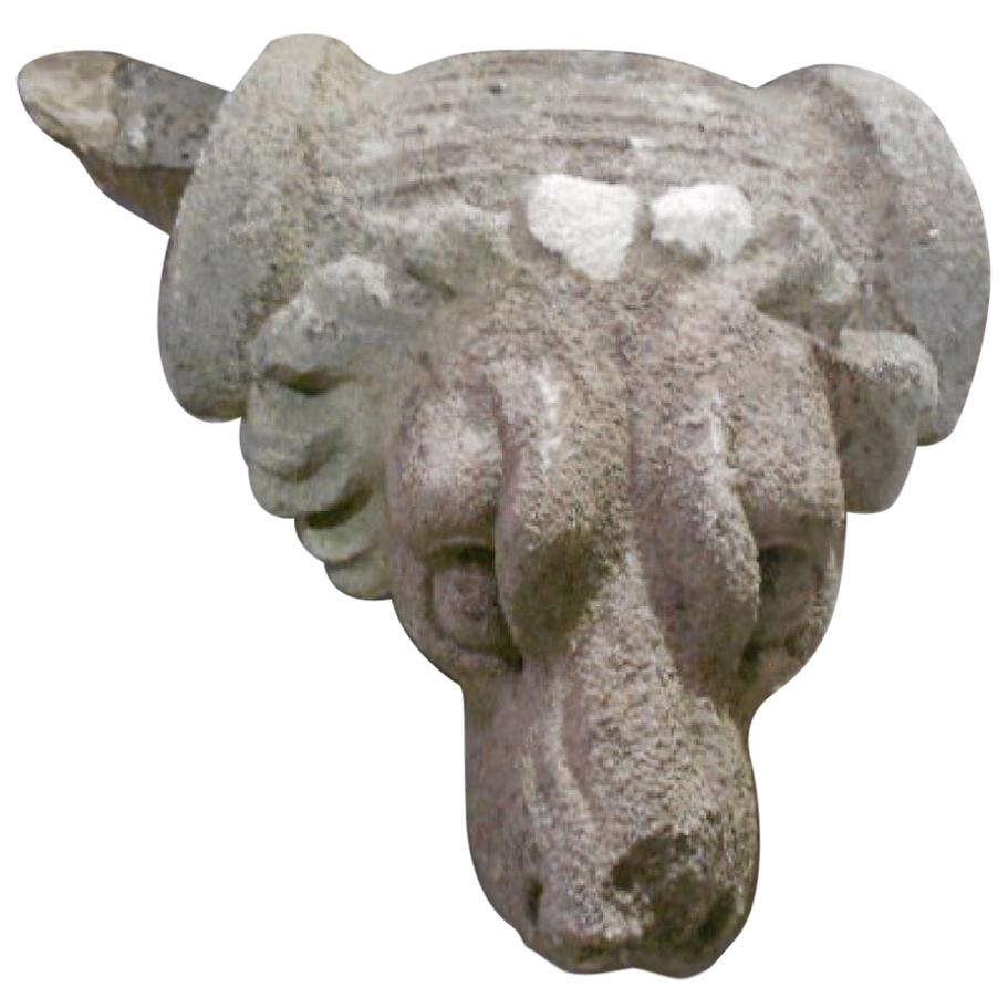 Stone Dog Head Corbel, 20th Century For Sale