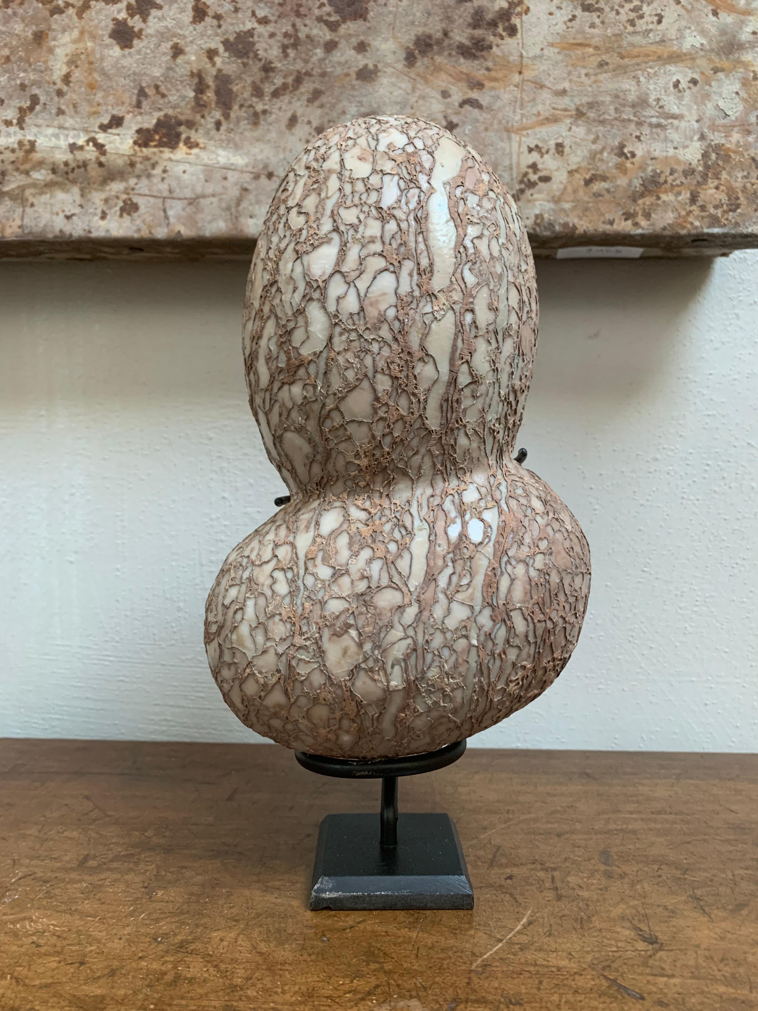 Stone Egg Gongshi Suiseki 20th century In Good Condition In Vosselaar, BE
